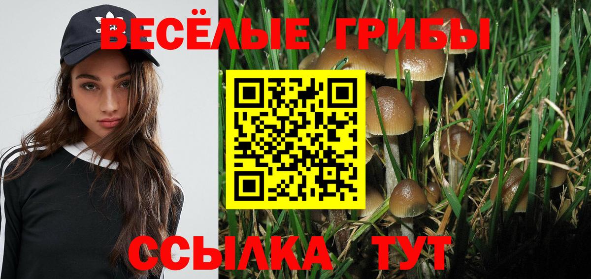Ейск  Псилоцибиновые грибы Psilocybe  Вход с VPN 